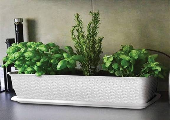 گلدان‌ های پلاستیکی یک متری