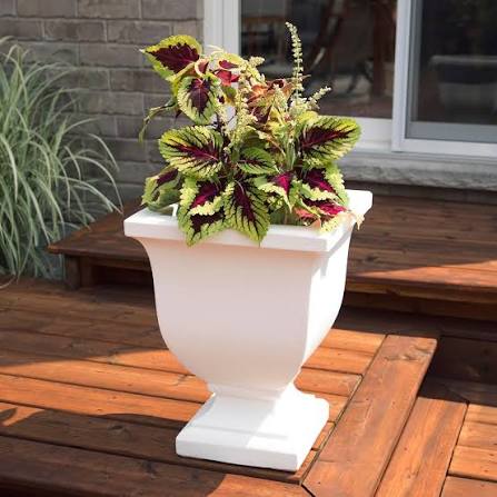 گلدان های پلاستیکی بزرگ