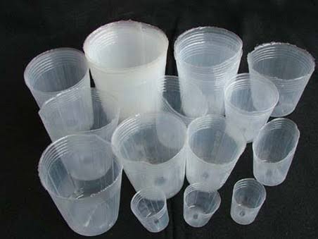 گلدان های پلاستیکی شفاف