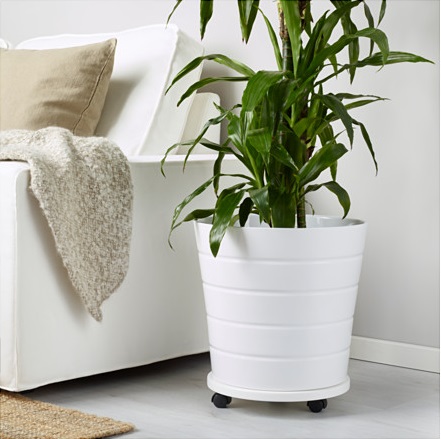 گلدان های پلاستیکی لبه دار