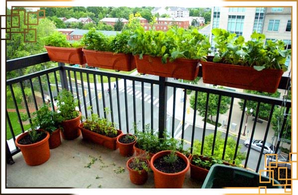 گلدان های پلاستیکی