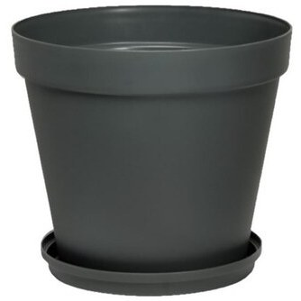 گلدان پلاستیکی