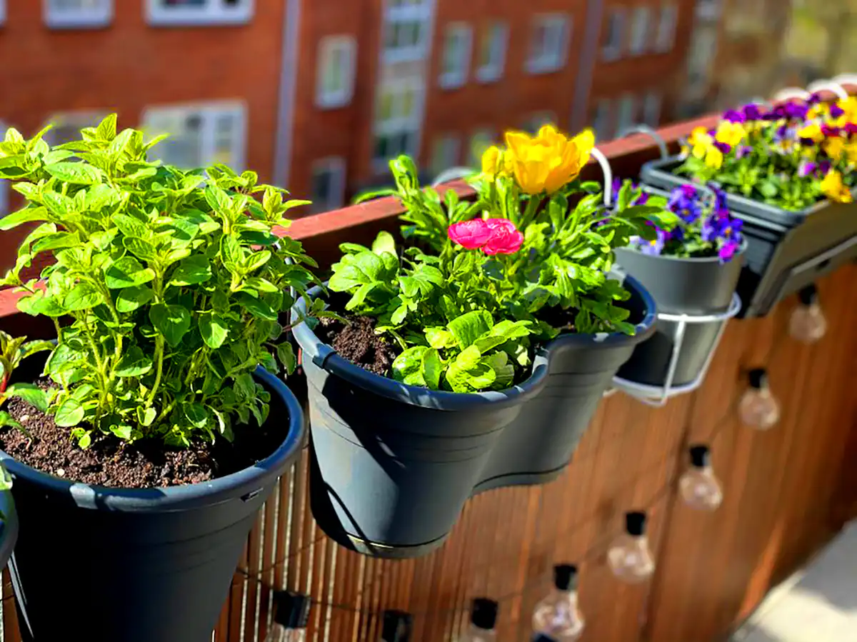 گلدان های پلاستیکی