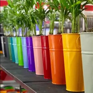 گلدان های پلاستیکی