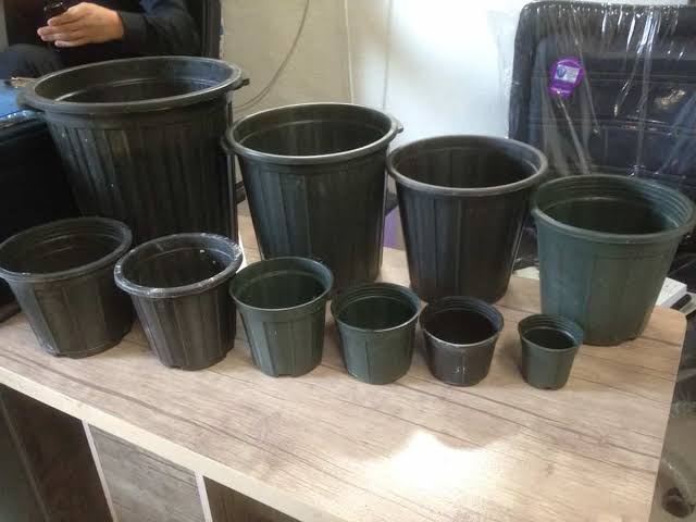 گلدان پلاستیکی