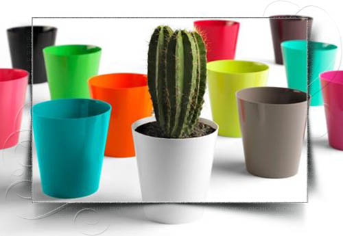 گلدان پلاستیکی