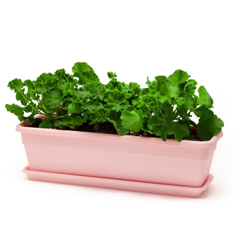 گلدان پلاستیکی ارزان