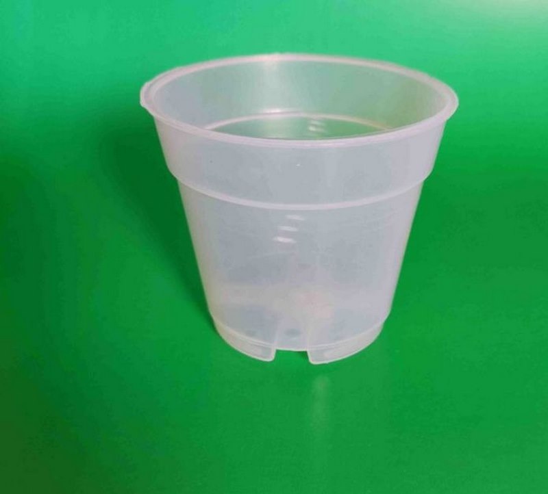 گلدان پلاستیکی ارکیده